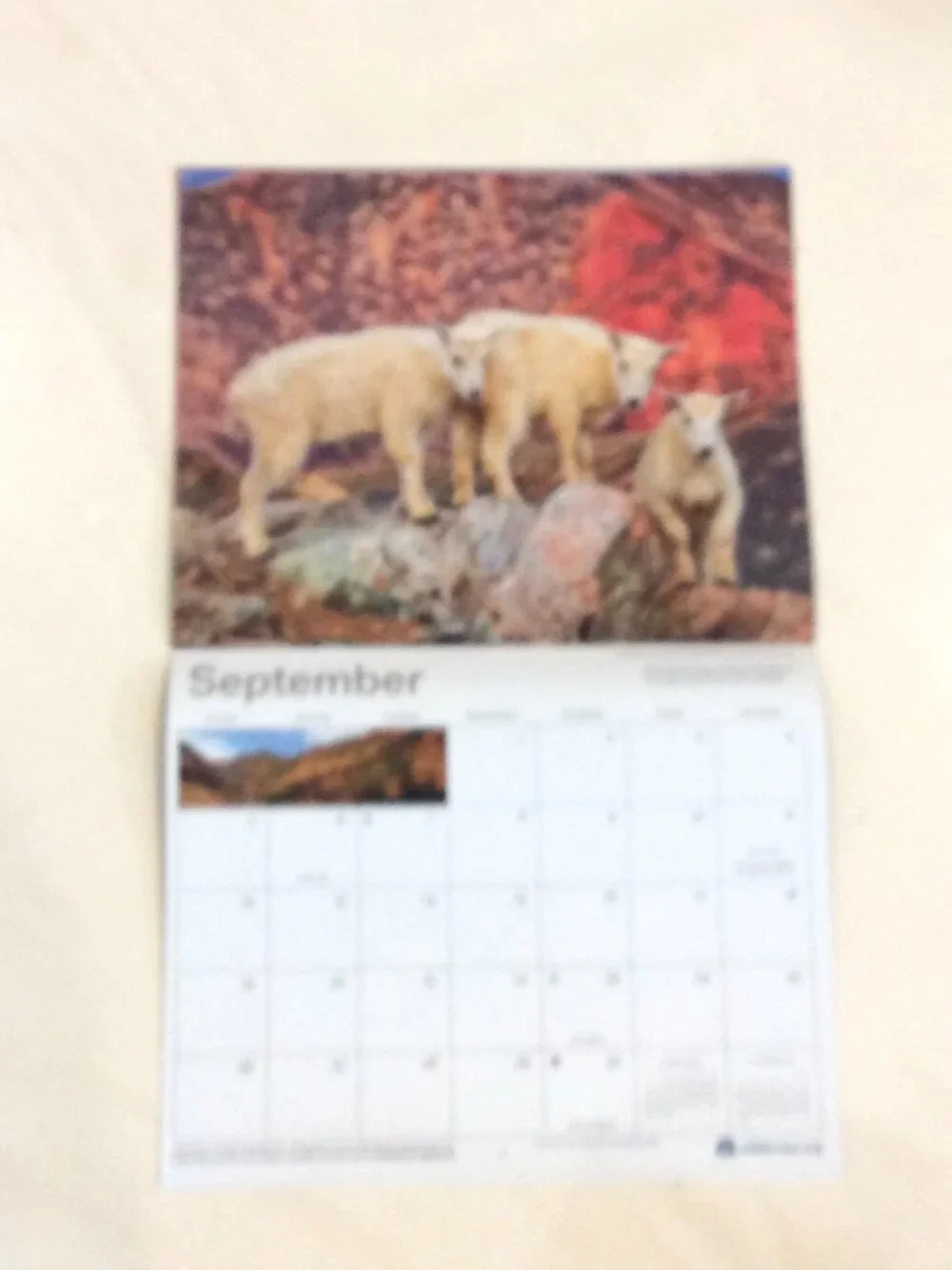 2027 The Wilderness Society 16-Month Wall Calendar Animals/Nature/Photography
